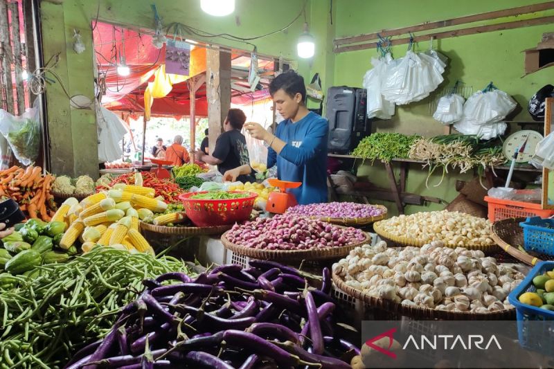 Sebanyak 46.248 warga di Bengkulu manfaatkan program KUR